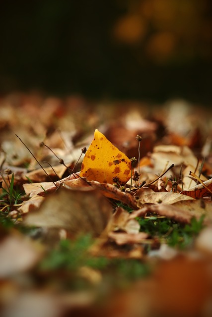 新挑战做出 新挑战做出