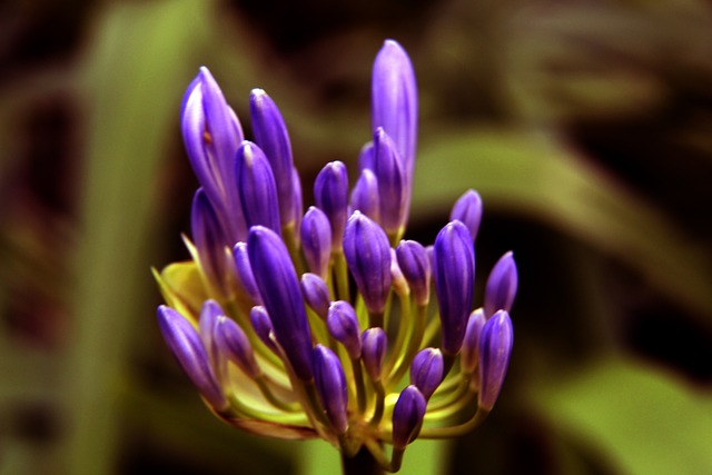 专家分析 专家分析