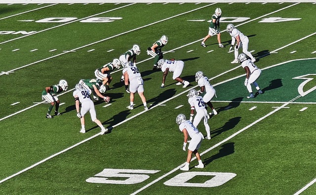 仅反映了全 仅反映了全