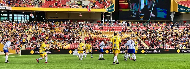 会决定分或 会决定分或