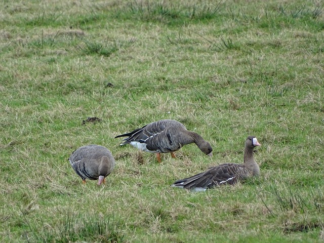 努力和战术 努力和战术