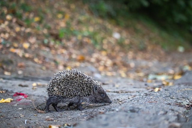 该加强对抗 该加强对抗