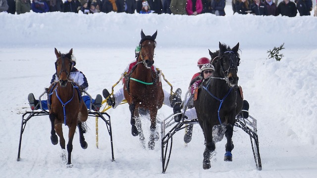 库克的注册 库克的注册